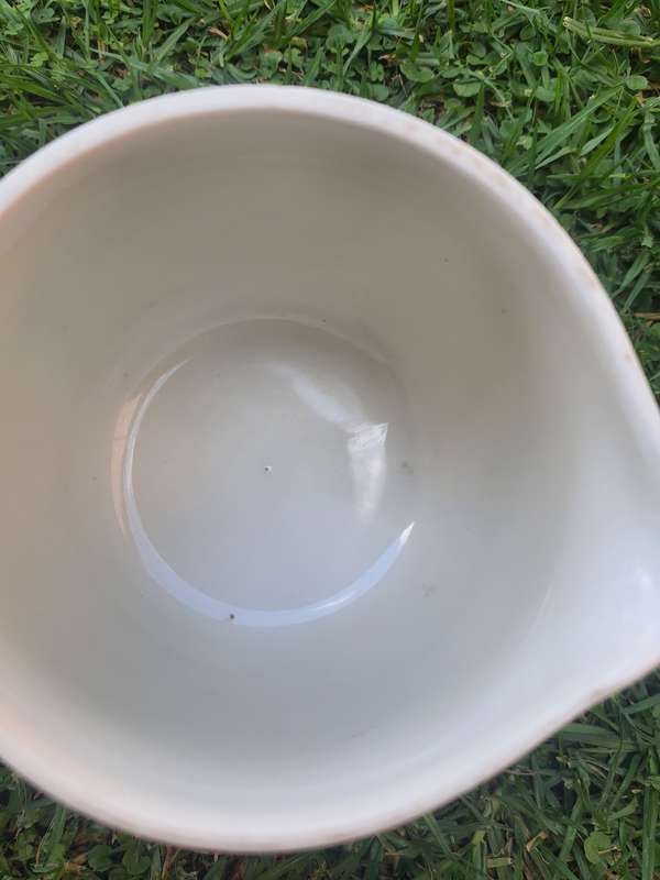 Antique Carrigaline pheasant pottery 2pt milk jug