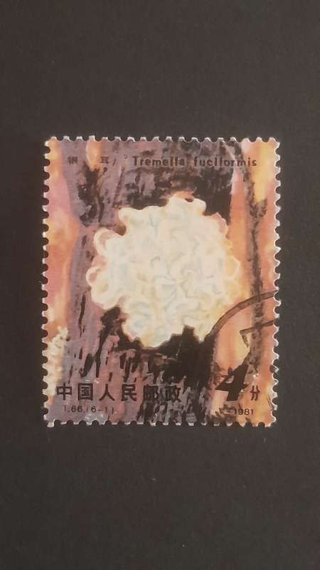 CHINA 1981 EDIBLE MUSHROOMS