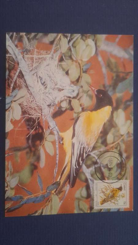 CISKEI 1984 BIRDS BLACK HEADED ORIOLE