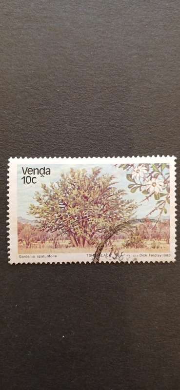 VENDA 1983 TREES