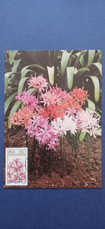 SOUTH AFRICA 1985 FLORAL EMIGRANTS