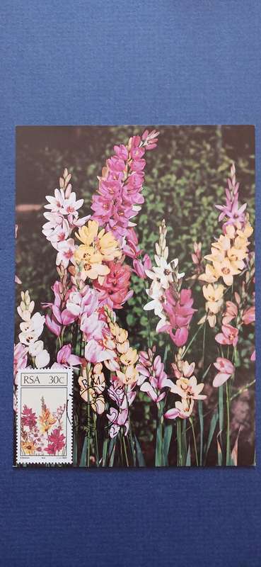 SOUTH AFRICA 1985 FLORAL EMIGRANTS