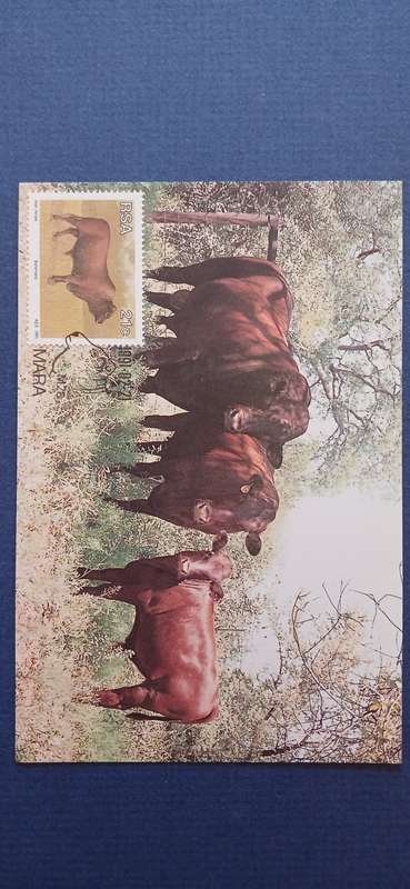 SOUTH AFRICA 1991 ANIMAL BREEDING IN SOUTH AFRICA