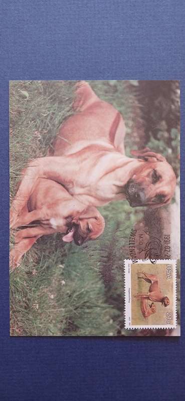 SOUTH AFRICA 1991 ANIMAL BREEDING IN SOUTH AFRICA