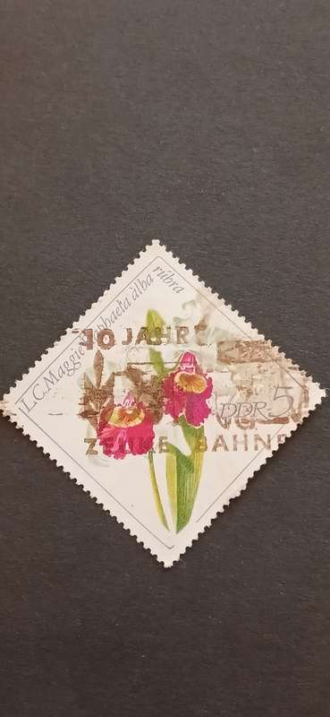DDR 1968 ORCHIDS