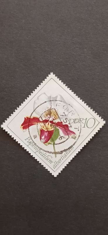 DDR 1968 ORCHIDS