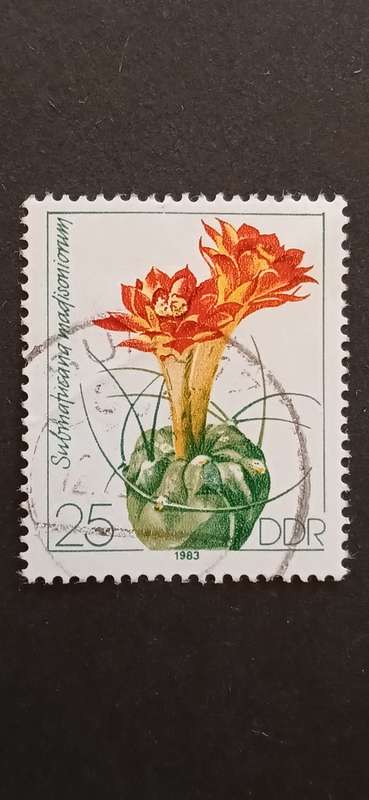 DDR 1983 CACTUS