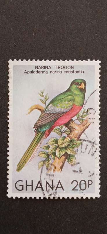 GHANA 1981 BIRDS