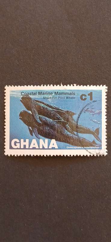 GHANA 1983 COASTAL MARINE MAMMALS