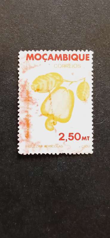MOZAMBIQUE 1981 AGRICULTURAL RESOURCES