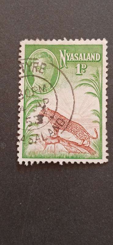NYASALAND 1947 LEOPARD