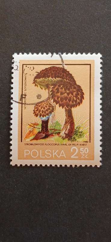 POLAND 1980 PROTECTED POISONOUS MUSHROOMS