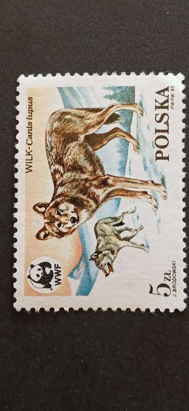 POLAND 1985 PROTECTED ANIMALS- THE WOLF