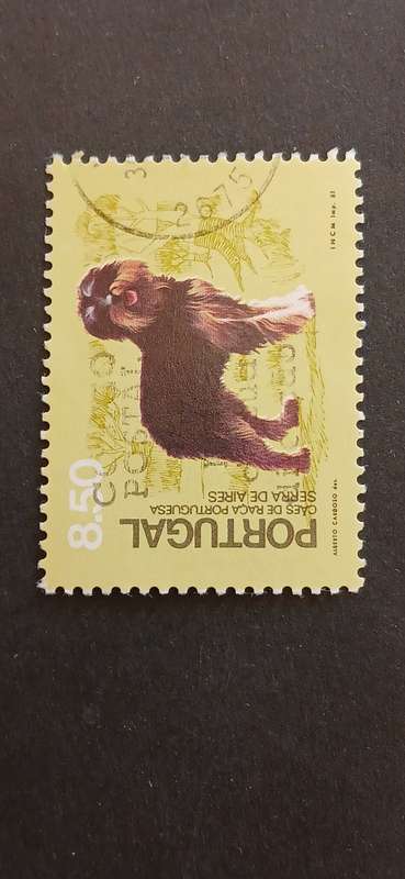 PORTUGAL 1981 50TH ANNIV OF THE UNION OF DOG BREEDING