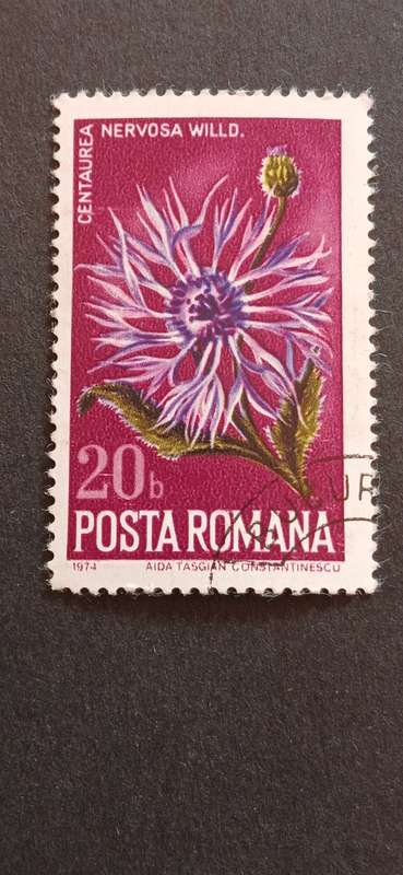ROMANIA 1974 NATURE PROTECTION- PLANTS