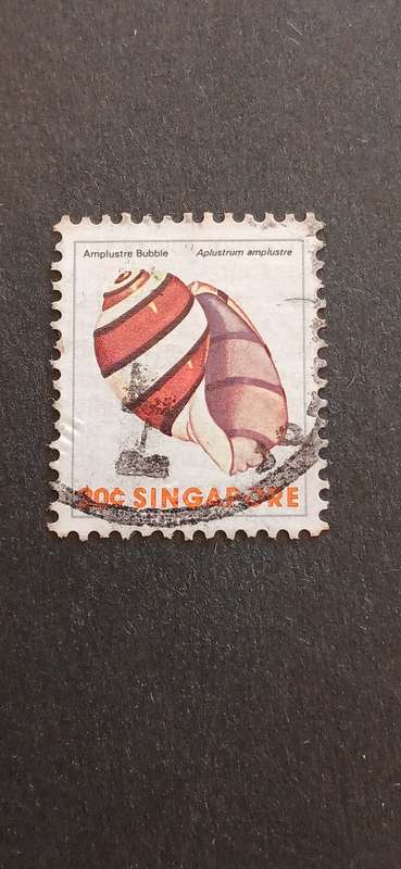SINGAPORE 1977 SHELLS