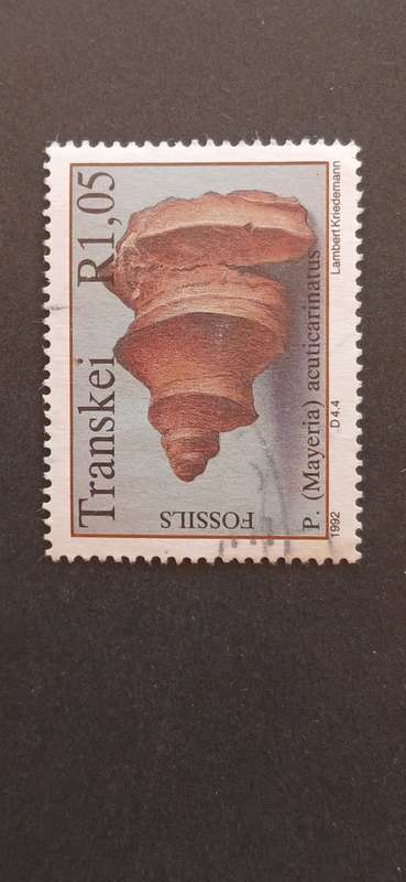 TRANSKEI 1992 FOSSIL SHELLFISH