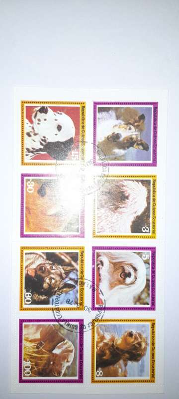 EQUATORIAL GUINEA 1978 Dogs mini sheet