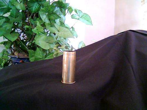 BRASS SHELL CASING