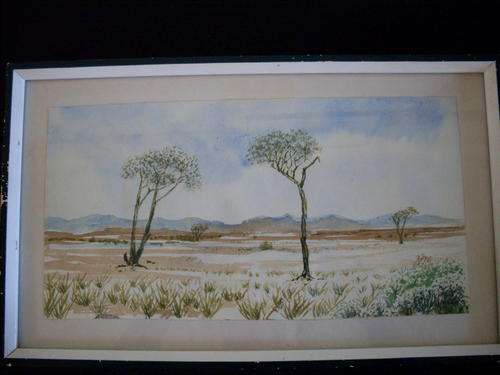 Lovely water colour on partchment.  32cmx20cm.  Frame needs TLC