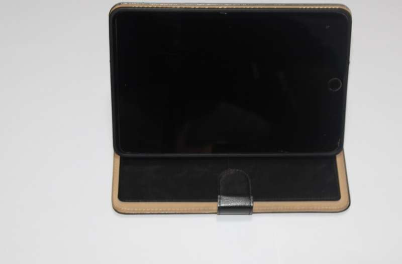 Apple iPad Mini 5 (Mint Condition) (Screenguard & cover included)