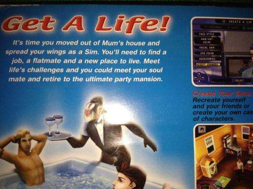 PS2 - The Sims