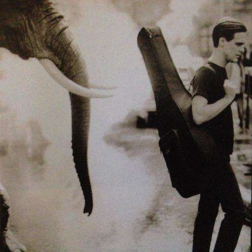 CD - Bryan Adams - On A Day Like Today