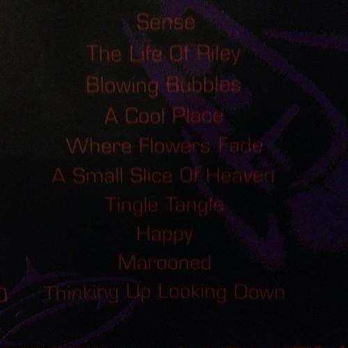 CD - The Lightning Seeds - Sense