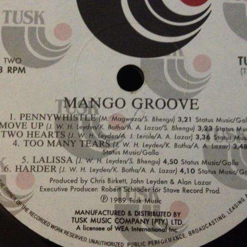 LP - Mango Groove - First Album