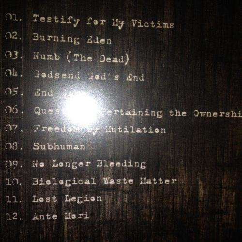 CD -  Carnal Forge - Testify For My Victims
