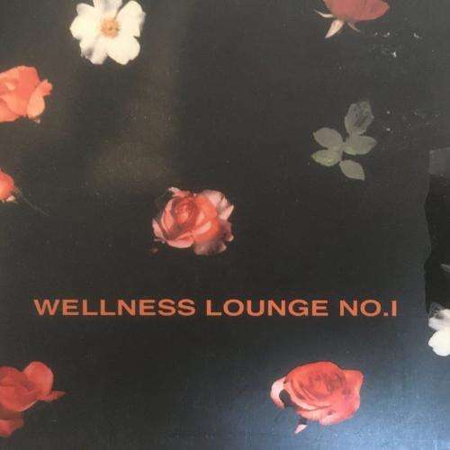 CD - Wellness Lounge No.1 (2cd)