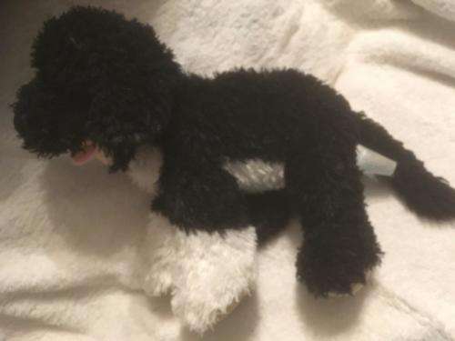 Large Build A Bear Puppy +-43cm