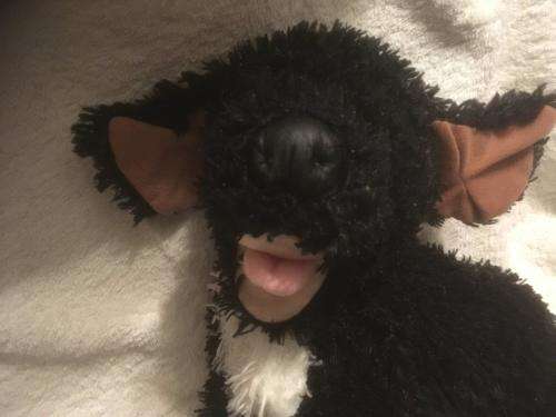 Large Build A Bear Puppy +-43cm