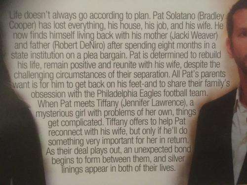 DVD - Silver Linings Playbook - Bradley Cooper Jennifer Lawrence De Niro