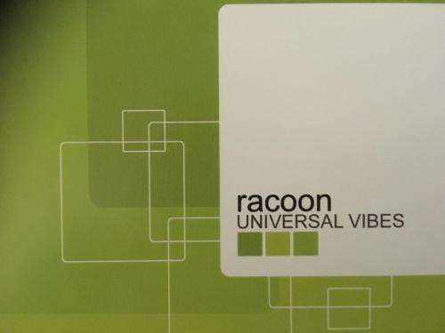 CD - Racoon - Universal Vibes
