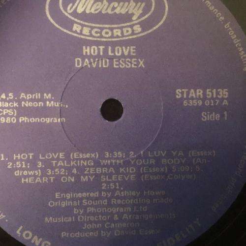 LP - David Essex - Hot Love