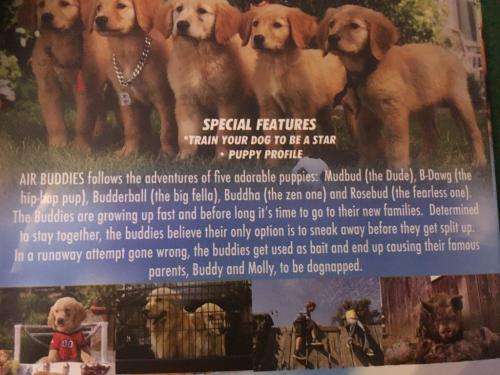 DVD - Air Buddies - The Shoot. They Score. They TALK!