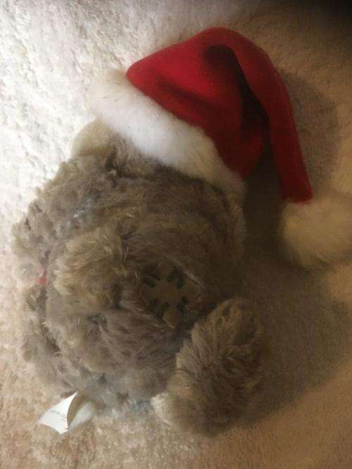 Tatty Teddy Christmas - Me To You Carte Blance Greetings " Someone Special " +-16cm