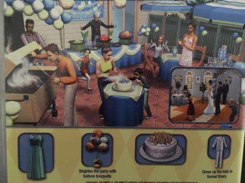 PC - The Sims 2 - Celebration Stuff