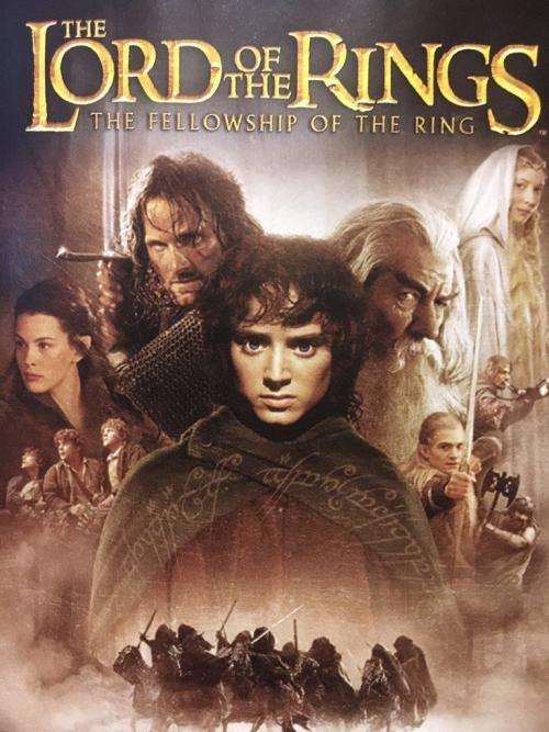 DVD - The Lord of The Rings - The Fellowship of The Ring (Single DVD)