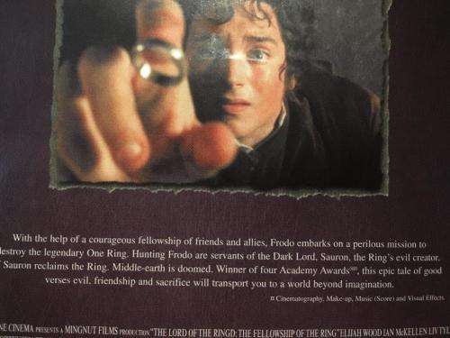 DVD - The Lord of The Rings - The Fellowship of The Ring (Single DVD)