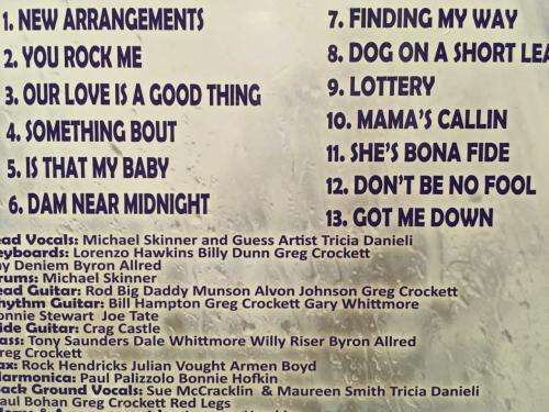 CD - Michael Skinner - New Arrangements