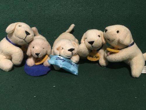 5 x Baby Soft Puppies +-10cm long