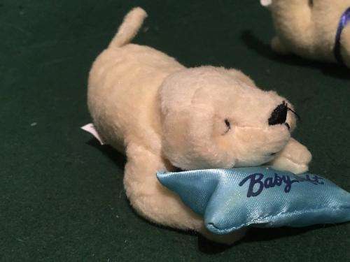 5 x Baby Soft Puppies +-10cm long