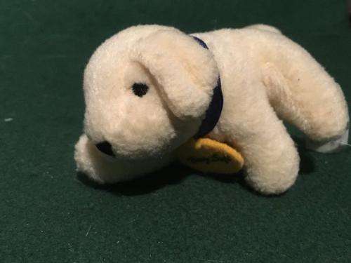 5 x Baby Soft Puppies +-10cm long