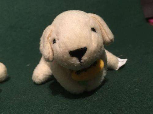 5 x Baby Soft Puppies +-10cm long