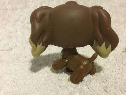 Littlest Pet Shop LPS Character No 18