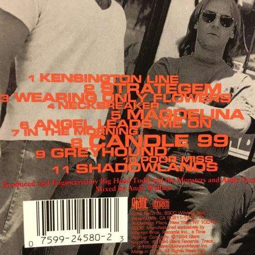 CD - Big Head Todd & The Monsters - Strategem