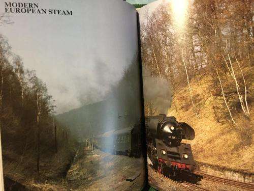 Steam Trains - Bernard Fitzsimons Hard Cover 95 pages