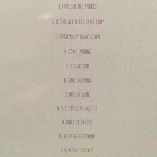 CD - The Delgados - Universal Audio